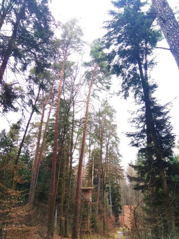 Ulegalki Roztocze Adamow  Exteriér fotografie